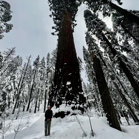 Meet your Posher, Haley - Picture 1 of 2